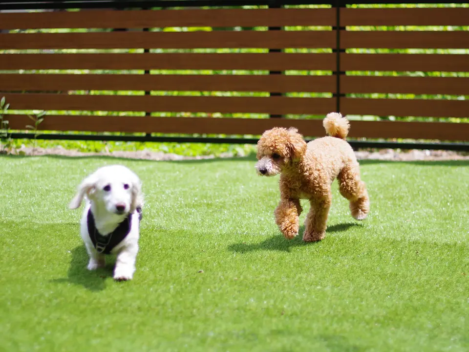 箱根周辺おすすめスポット