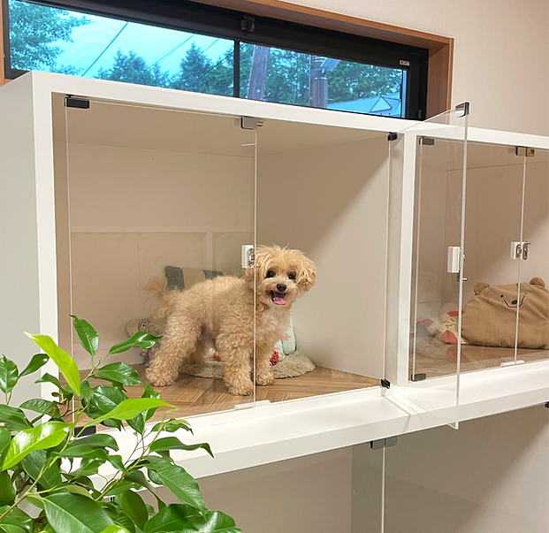 DogHub お預かりスペース